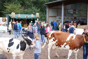 Düsser Bauernmarkt 2019