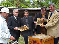 Bienenkunde-Kooperation