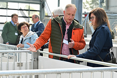 Stallbesichtigung Haus Düsse