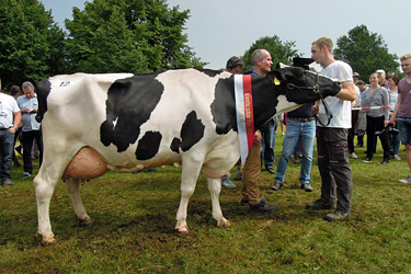 Tierschau in Wenden