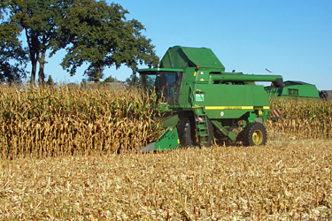 Maisernte mit John Deere