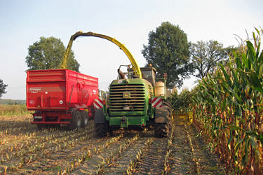 Silomaisernte mit John-Deere-Häcksler