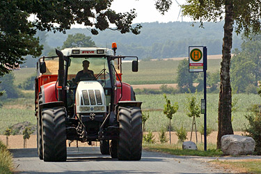 Steyrschlepper bei der Triticaleernte