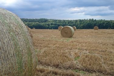 strohballen_nitratdienst