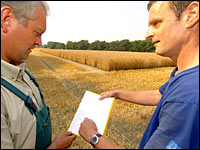 Landessortenversuch Triticale wird geerntet