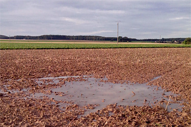 Nasses gegrubbertes Feld