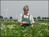 Laubbonitur bei Kartoffeln