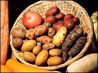 Alte Kartoffelsorten
