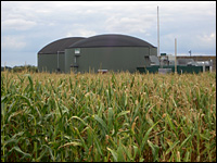 Mais vor einer Biogasanlage