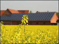 Raps vor einer Photovoltaik-Anlage