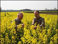 Prüfung der Rapsqualität