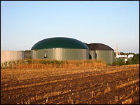 Abgeernteter Silomais vor einer Biogasanlage