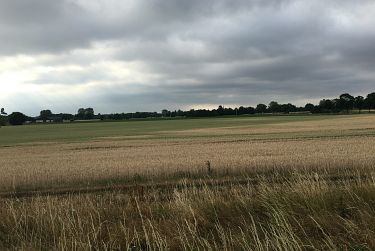 weizen-wolken