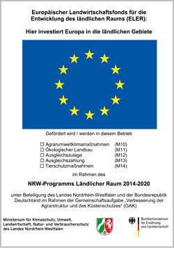 Muster EU-Poster