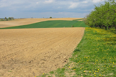 Felder im April