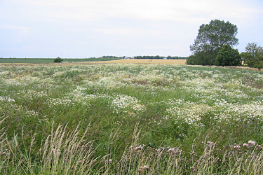 Stilllegungsfläche