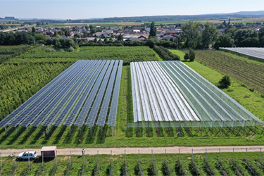 Agri-PV-Forschungsanlage für Äpfel