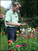 Gartenblumen schneiden