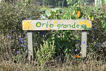 Den Mietgarten kann man individuell gestalten