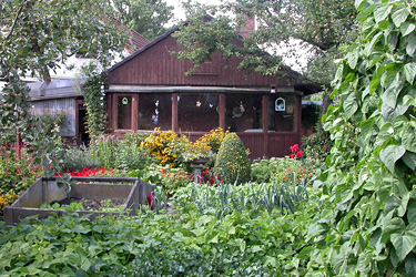 Kleingarten mit Gemüse im Sommer