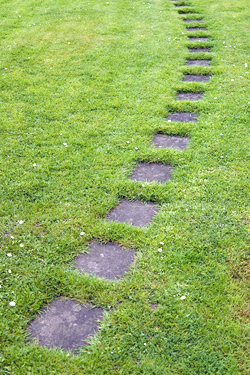 Rasen mit Steinplatten