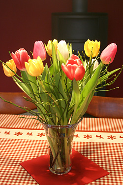 Tulpenstrauß