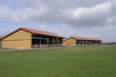 Ökoställe Haus Riswick