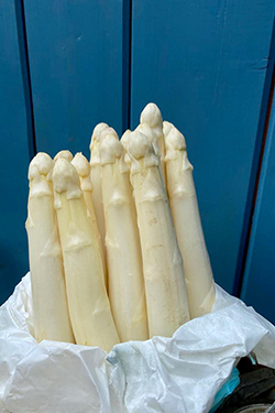 Spargel