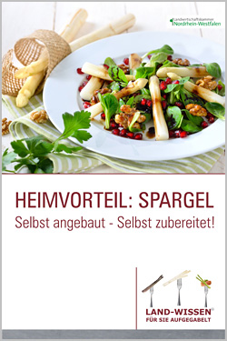 Broschüre Heimvorteil Spargel