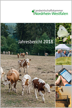 Jahresbericht 2018