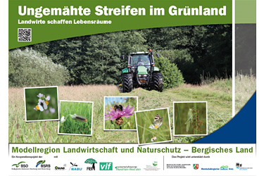 Plakat Insektenschutzstreifen