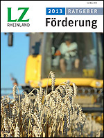 Ratgeber Förderung 2013