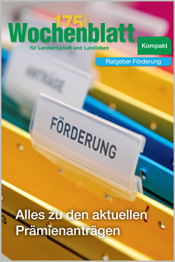 Ratgeber Förderung 2019
