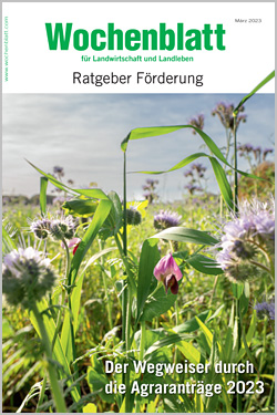 Ratgeber Förderung 2023