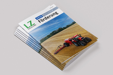 Ratgeber Förderung 2026