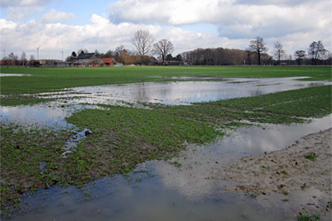 Acker mit Wasserlaachen