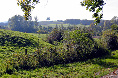 In den Baumbergen