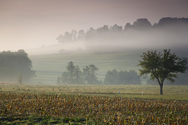 Felder im Herbst