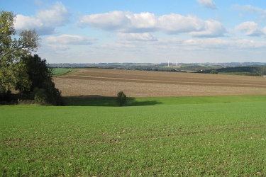 Felder in Ostwestfalen