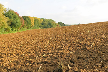 Feld im Oktober