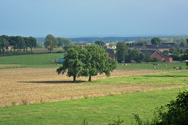Landschaft bei Beckum