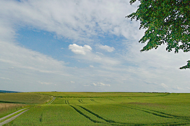 Landschaft im Bonner Süden