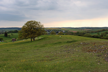 Landschaft in der Eifel