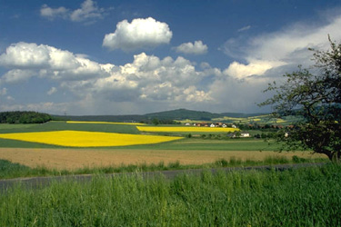 Landschaft bei Meschede