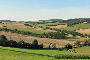 Landschaft in Ostwestfalen