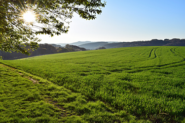 Landwirtschaft in Stadtnähe hat auch Erholungscharakter