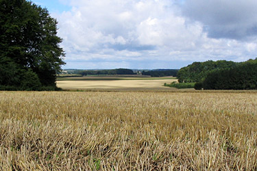 Stoppelacker bei Billerbeck