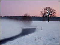 Winterabend mit Schnee