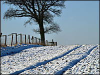 Winterlandschaft