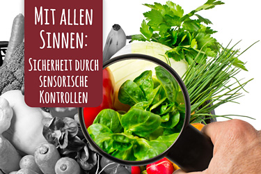 Gemüse unter der Lupe